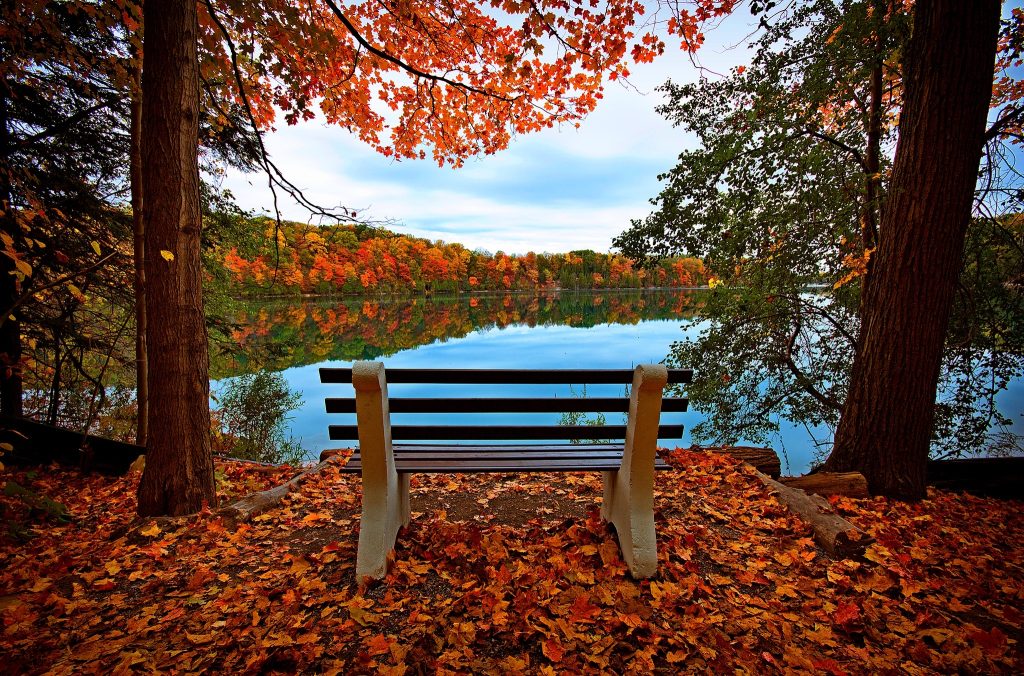 autumn riddles